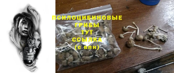 хмурый Абаза