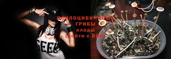 хмурый Абаза