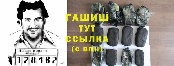 хмурый Абаза
